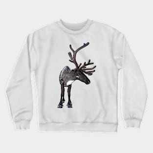 Santa Claus Reindeer Crewneck Sweatshirt